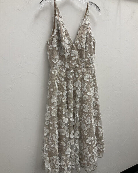 Dress The Population Dress NWT